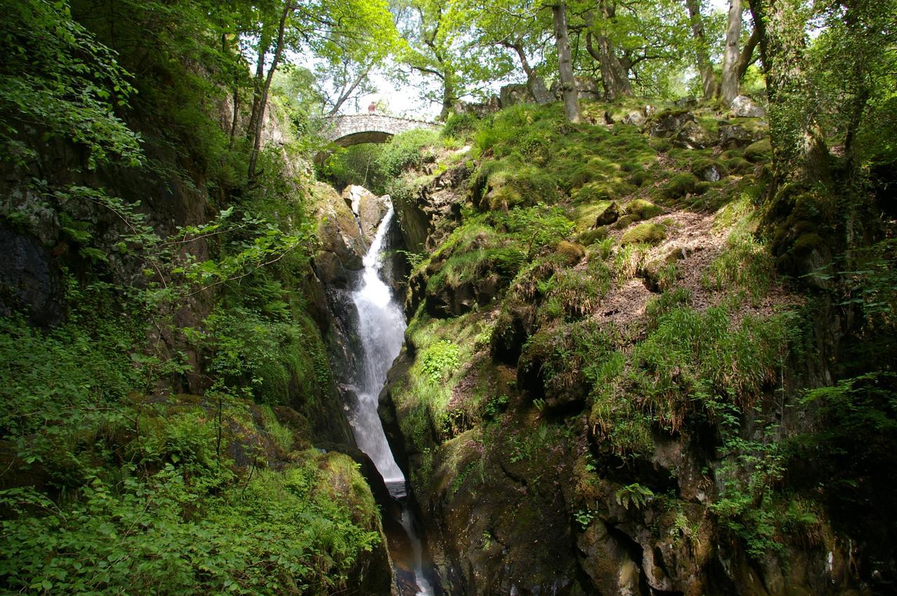 Waterfoot Park 호텔 풀리 브리지 외부 사진